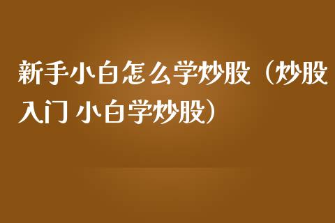 新手小白怎么学炒股（炒股入门 小白学炒股）