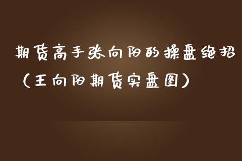 期货高手张向阳的操盘绝招（王向阳期货实盘图）