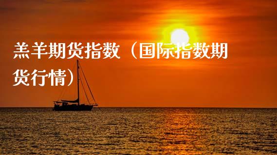 羔羊期货指数（国际指数期货行情）