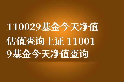 110029基金今天净值估值查询上证 110019基金今天净值查询