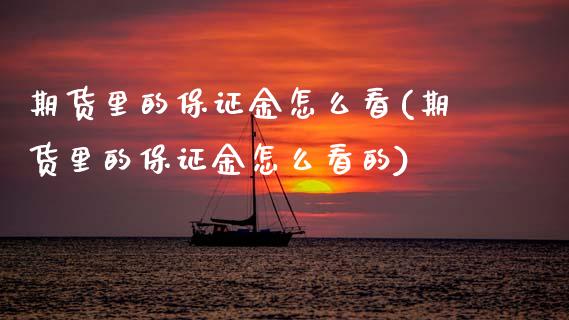 期货里的保证金怎么看(期货里的保证金怎么看的)