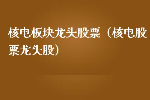 核电板块龙头股票（核电股票龙头股）