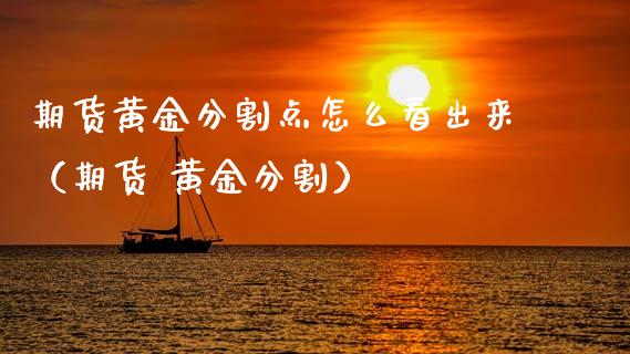 期货黄金分割点怎么看出来（期货 黄金分割）