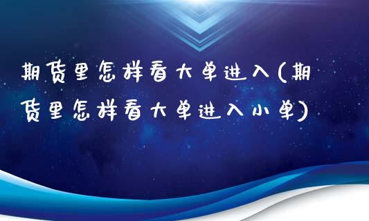 期货里怎样看大单进入(期货里怎样看大单进入小单)