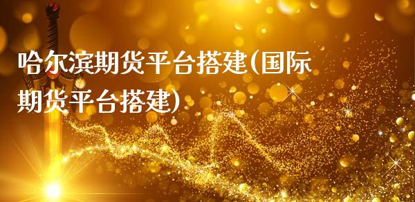 哈尔滨期货平台搭建(国际期货平台搭建)
