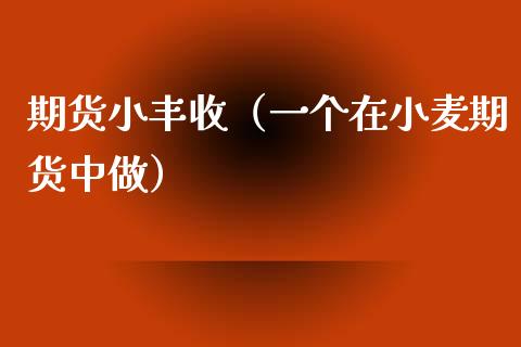 期货小丰收（一个在小麦期货中做）