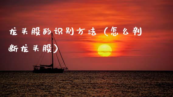 龙头股的识别方法（怎么判断龙头股）