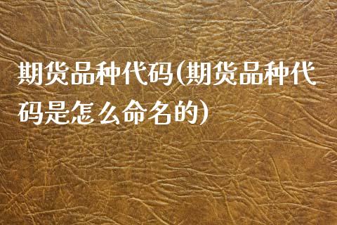 期货品种代码(期货品种代码是怎么命名的)_期货理财_第1张_宇龙理财网 期货品种代码(期货品种代码是怎么命名的)_https://www.dglong8.com_期货理财_第1张