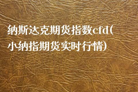 纳斯达克期货指数cfd(小纳指期货实时行情)