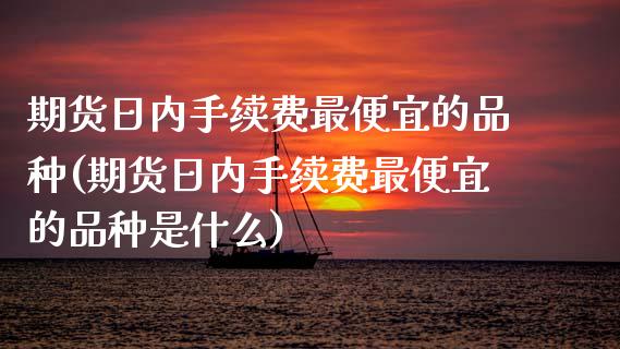 期货日内手续费最便宜的品种(期货日内手续费最便宜的品种是什么)