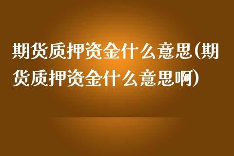 期货质押资金什么意思(期货质押资金什么意思啊)