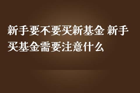 新手要不要买新基金 新手买基金需要注意什么