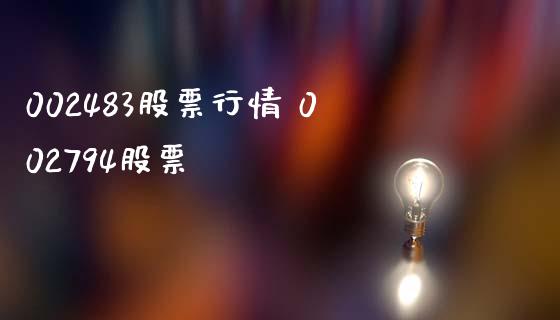 002483股票行情 002794股票