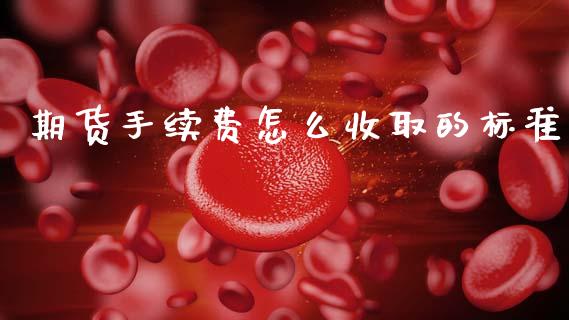 期货手续费怎么收取的标准