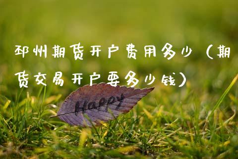 邳州期货开户费用多少（期货交易开户要多少钱）