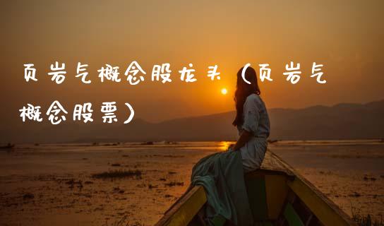 页岩气概念股龙头（页岩气概念股票）