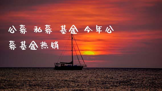 公募 私募 基金 今年公募基金热销_https://www.dglong8.com_基金理财_第1张