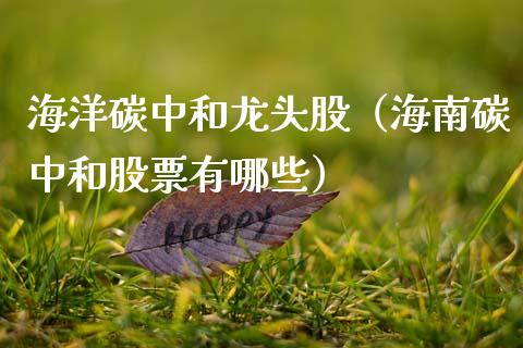 海洋碳中和龙头股（海南碳中和股票有哪些）