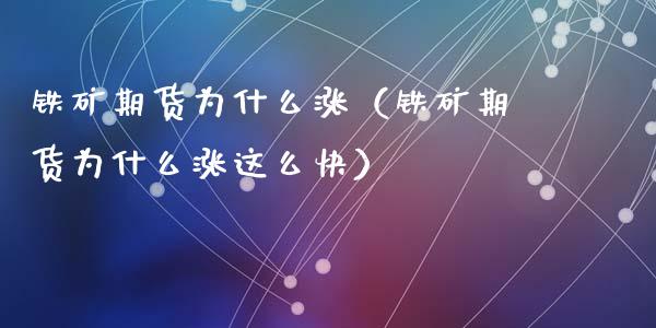 铁矿期货为什么涨（铁矿期货为什么涨这么快）