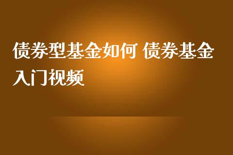 债券型基金如何 债券基金入门视频