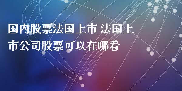 国内股票法国上市 法国上市公司股票可以在哪看