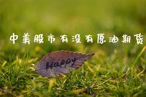 中美股市有没有原油期货