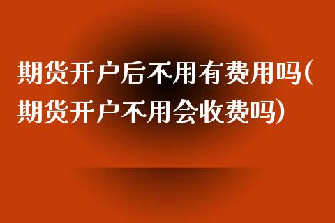 期货开户后不用有费用吗(期货开户不用会收费吗)