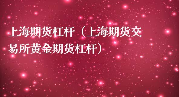 上海期货杠杆（上海期货交易所黄金期货杠杆）