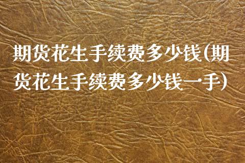 期货花生手续费多少钱(期货花生手续费多少钱一手)