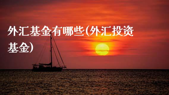 外汇基金有哪些(外汇投资基金)