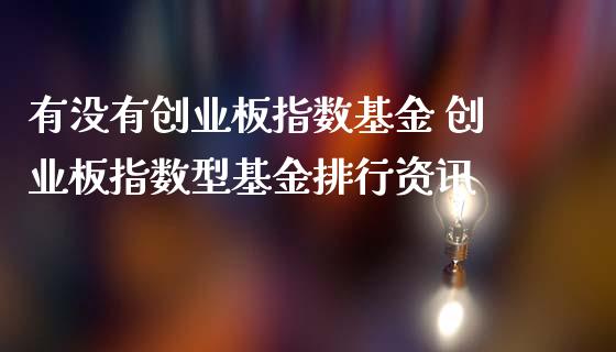 有没有创业板指数基金 创业板指数型基金排行资讯