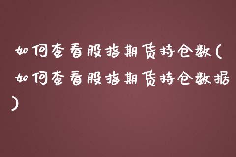 如何查看股指期货持仓数(如何查看股指期货持仓数据)