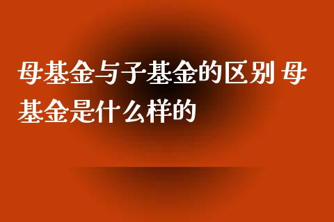 母基金与子基金的区别 母基金是什么样的_https://www.dglong8.com_基金理财_第1张