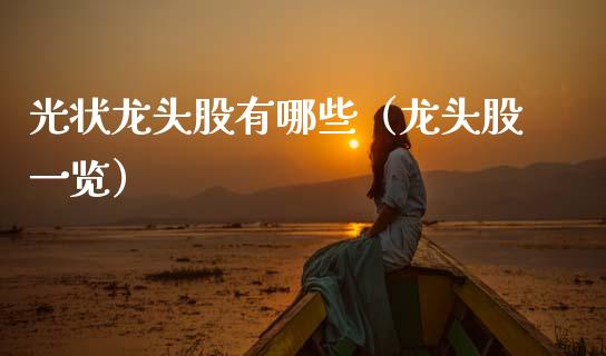 光状龙头股有哪些（龙头股一览）_https://www.dglong8.com_财经要闻_第1张