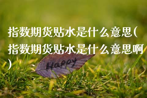 指数期货贴水是什么意思(指数期货贴水是什么意思啊)