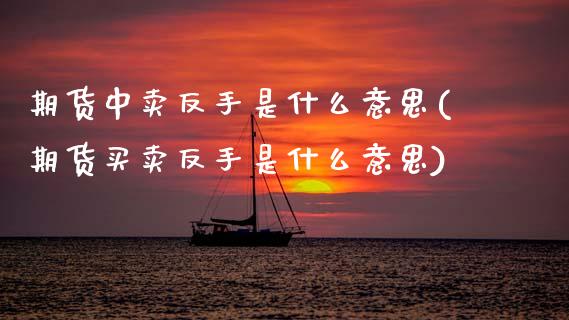 期货中卖反手是什么意思(期货买卖反手是什么意思)