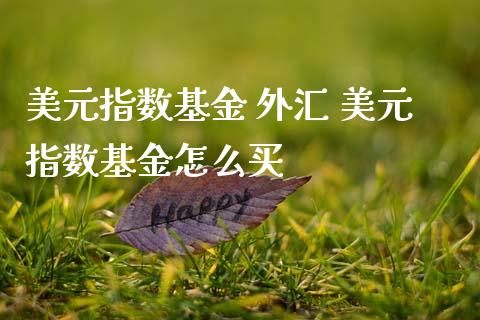 美元指数基金 外汇 美元指数基金怎么买