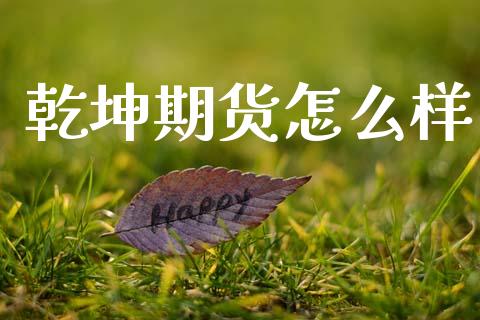 乾坤期货怎么样