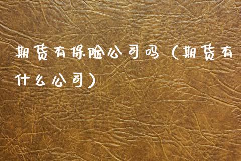 期货有保险公司吗（期货有什么公司）