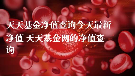 天天基金净值查询今天最新净值 天天基金网的净值查询