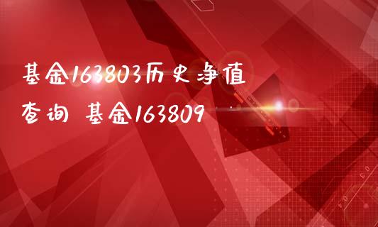 基金163803历史净值查询 基金163809