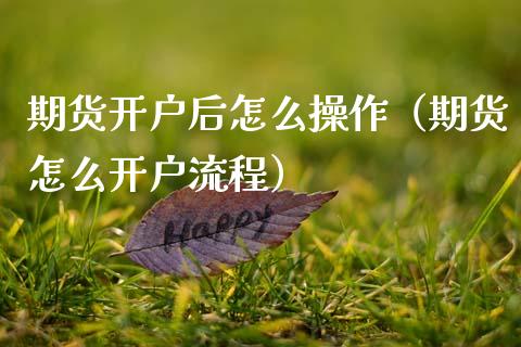 期货开户后怎么操作（期货怎么开户流程）