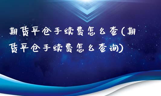 期货平仓手续费怎么查(期货平仓手续费怎么查询)