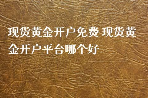 现货黄金开户免费 现货黄金开户平台哪个好