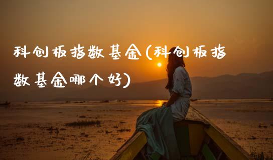 科创板指数基金(科创板指数基金哪个好)