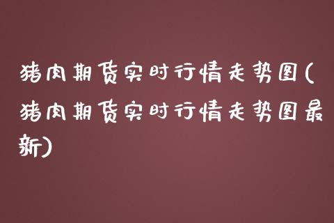 猪肉期货实时行情走势图(猪肉期货实时行情走势图最新)