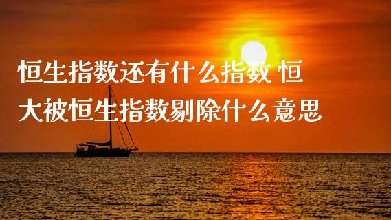恒生指数还有什么指数 恒大被恒生指数剔除什么意思