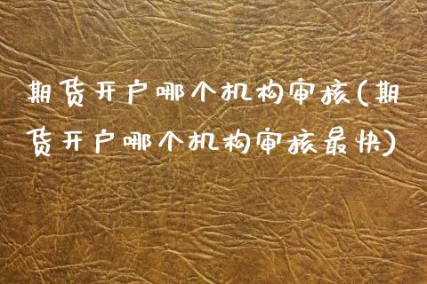 期货开户哪个机构审核(期货开户哪个机构审核最快)