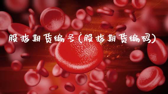 股指期货编号(股指期货编码)