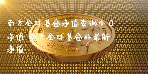 南方全球基金净值查询今日净值 南方全球基金的最新净值